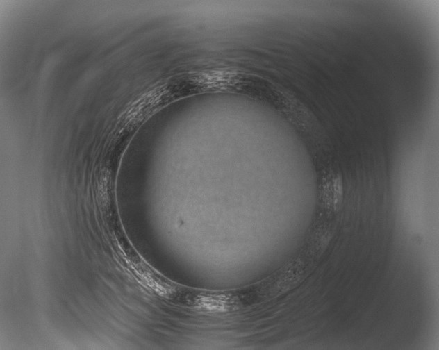 X0000086110757200703231501