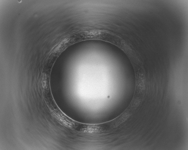 X0000086110758200703231501