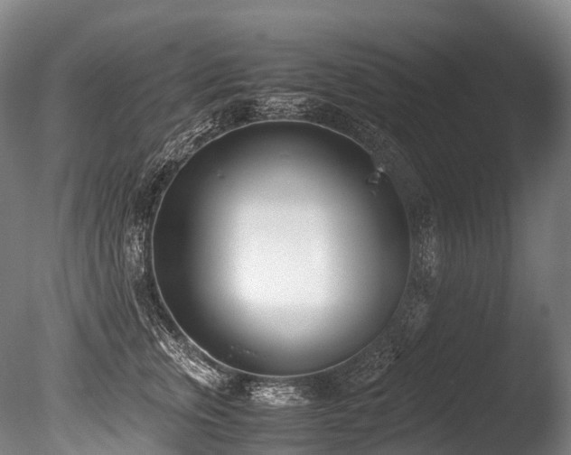 X0000086110759200703231501