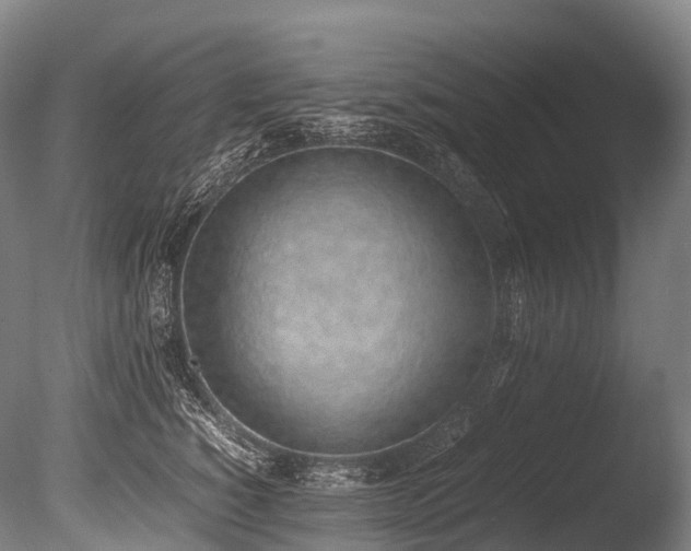 X0000086110760200703231501