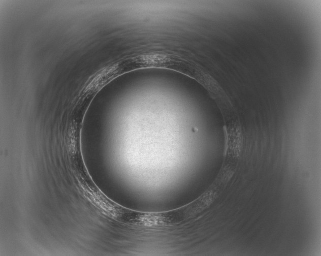 X0000086110762200703231501