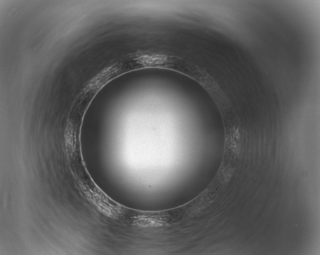 X0000086110763200703231501