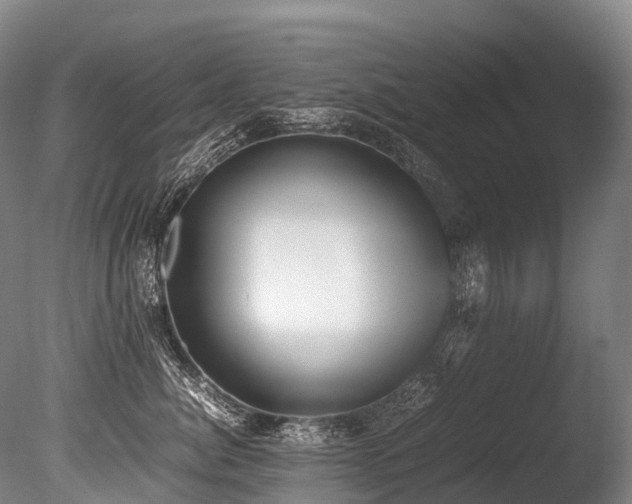 X0000086110764200703231501