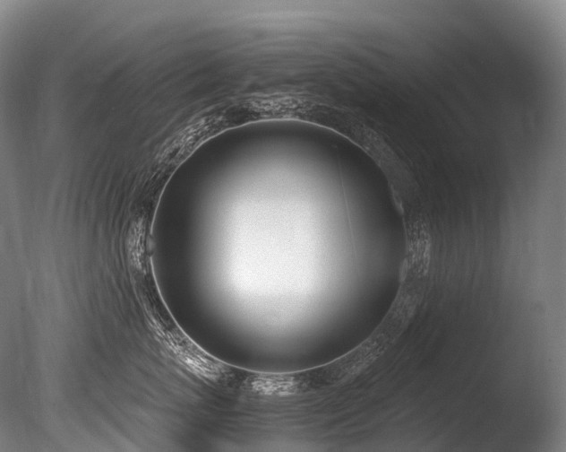 X0000086110767200703231501