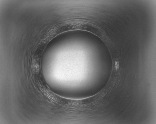 X0000086110771200703231500