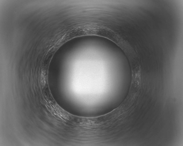 X0000086110772200703231500