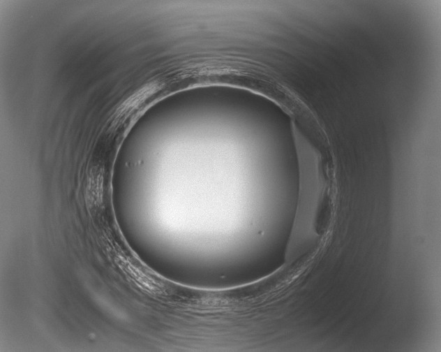 X0000086110777200703231500