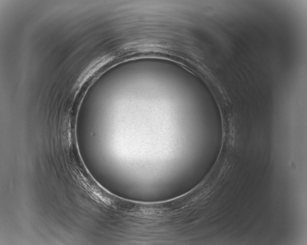 X0000086110782200703231500