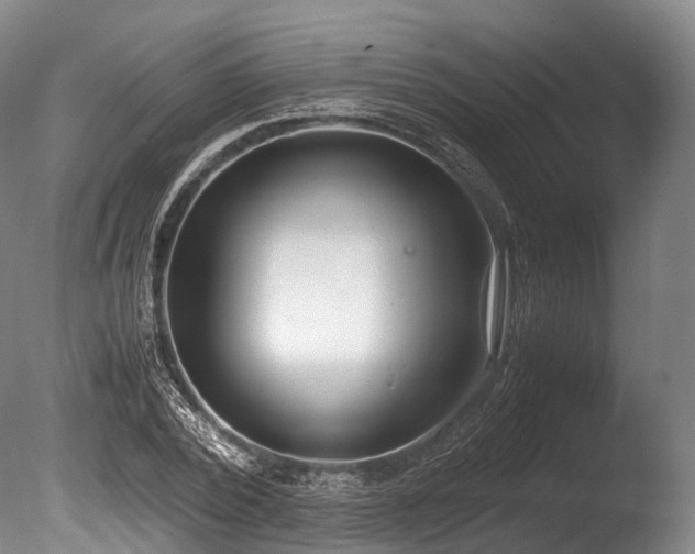 X0000086110784200703231500