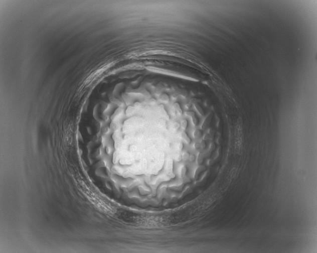 X0000086110785200703231500