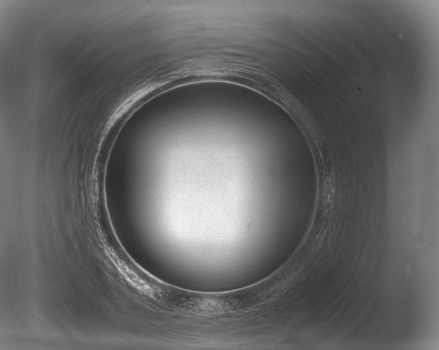 X0000086110787200703231500