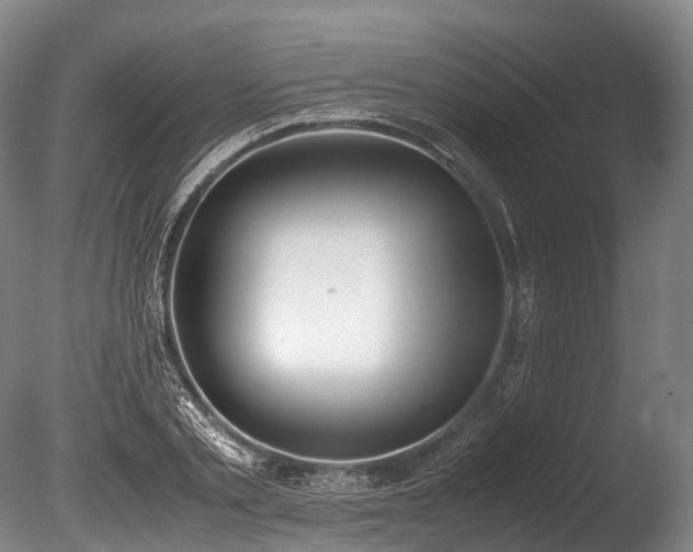 X0000086110789200703231500