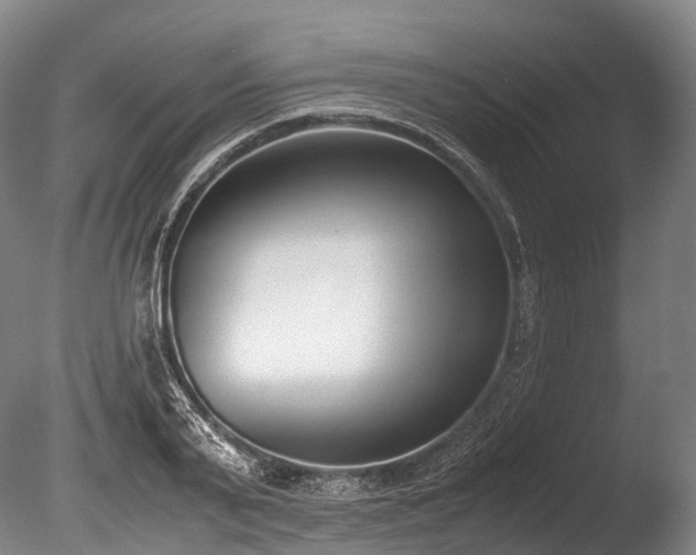 X0000086110791200703231500