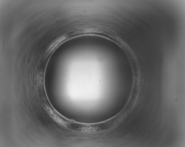 X0000086110793200703231500