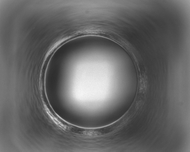 X0000086110795200703231500