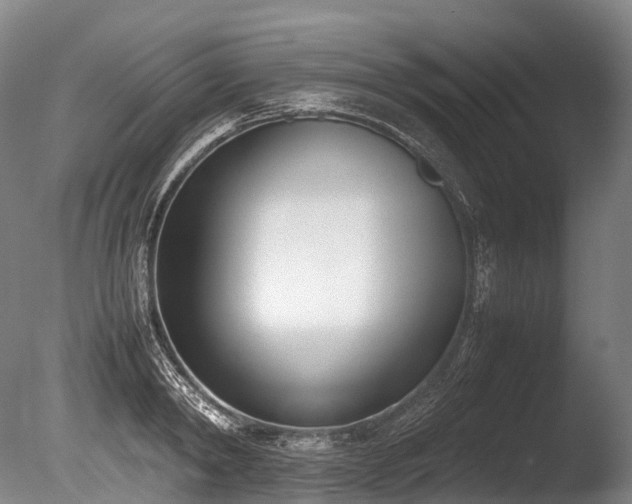 X0000086110798200703231500