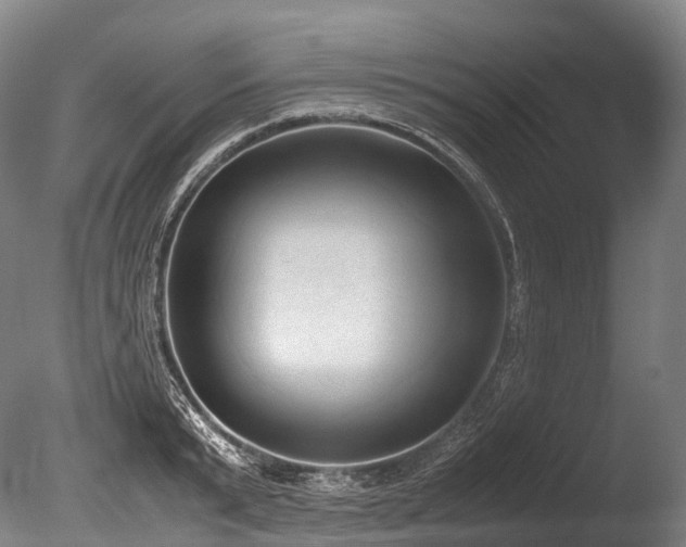 X0000086110799200703231500