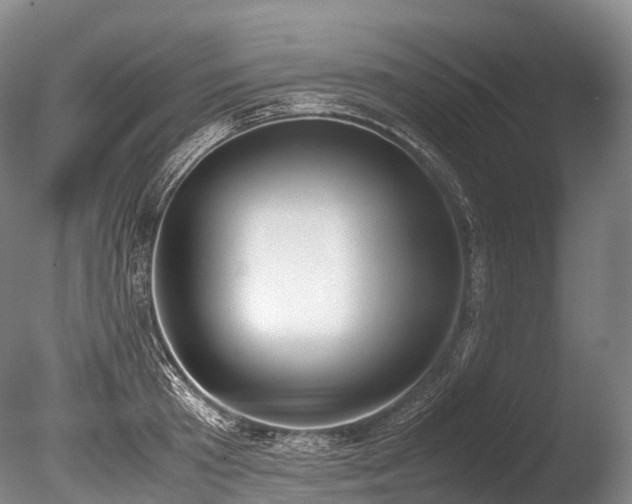 X0000086110801200703231500