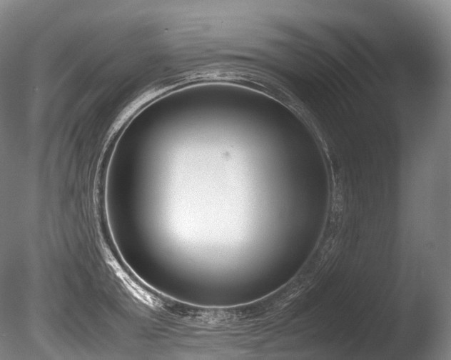 X0000086110803200703231500