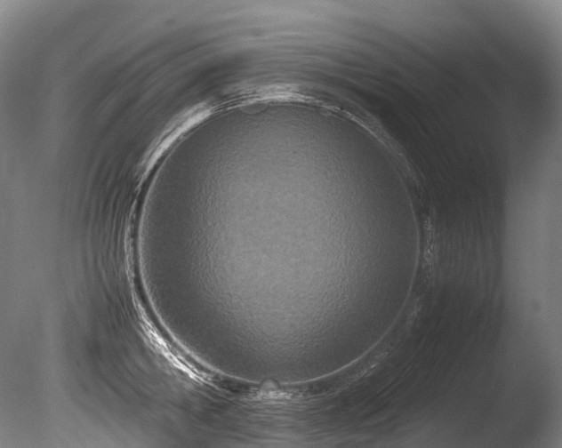 X0000086110806200703231500