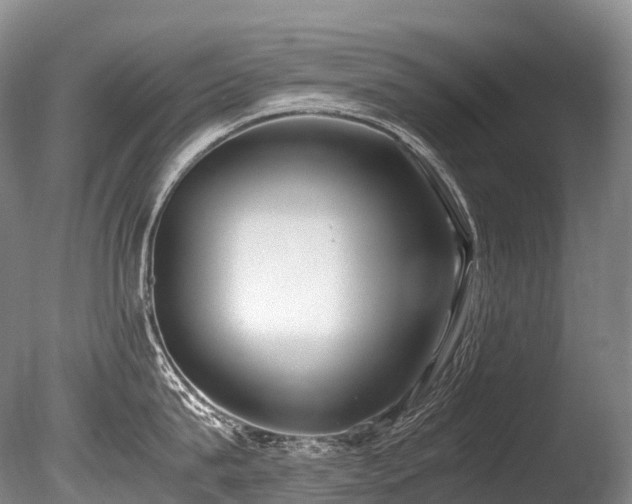 X0000086110815200703231459