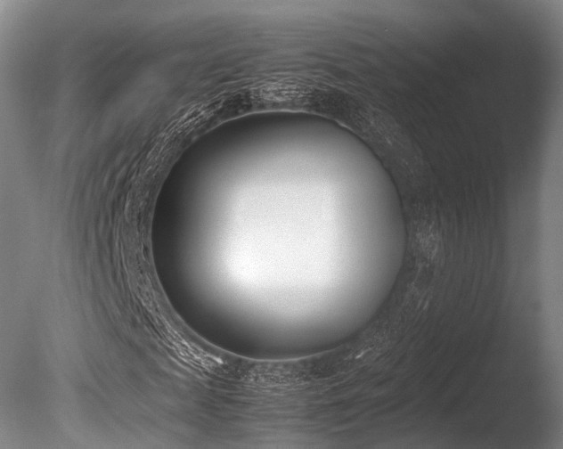 X0000086110817200703231459
