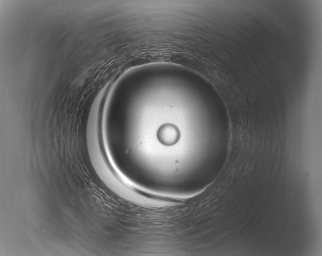 X0000086110818200703231459
