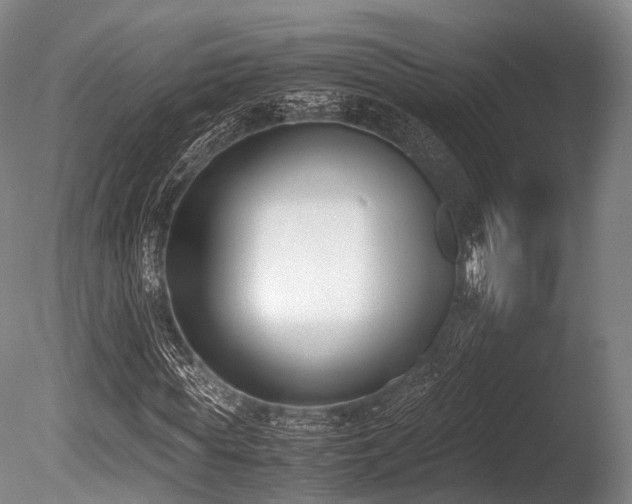 X0000086110819200703231459