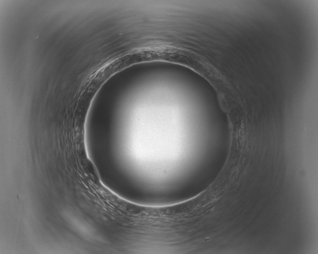 X0000086110822200703231459