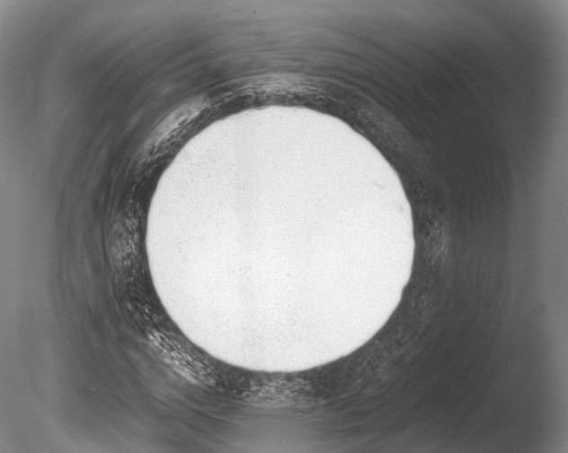 X0000086110824200703231459