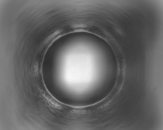 X0000086110825200703231459