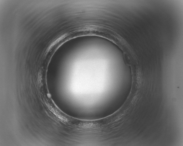 X0000086110826200703231459