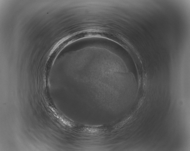 X0000086110829200703231459