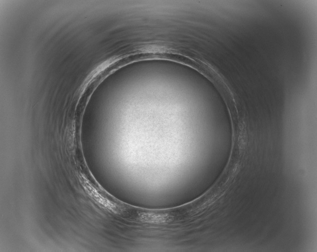 X0000086110831200703231459
