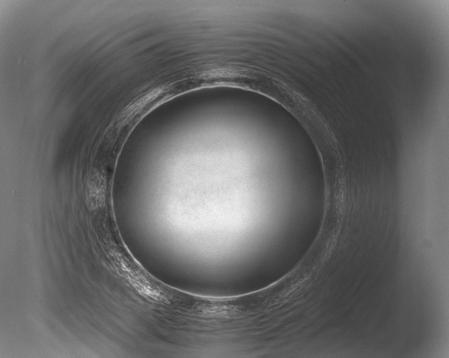 X0000086110833200703231459