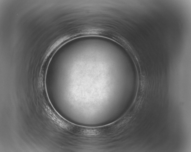 X0000086110835200703231459
