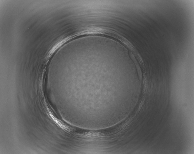 X0000086110842200703231459