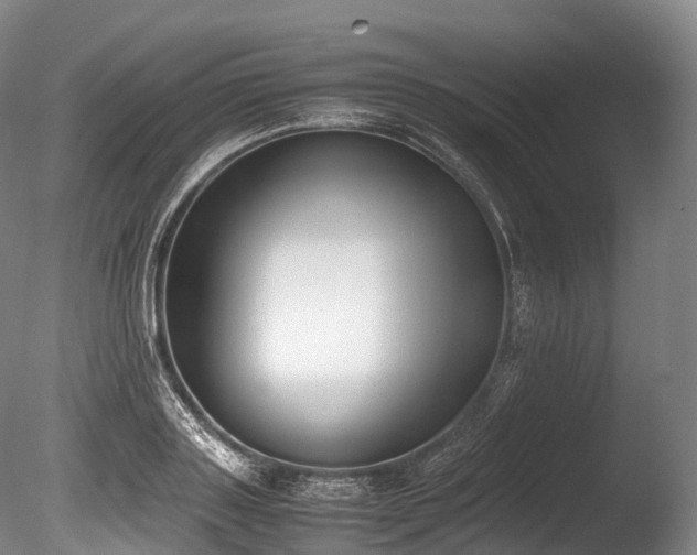 X0000086110843200703231459