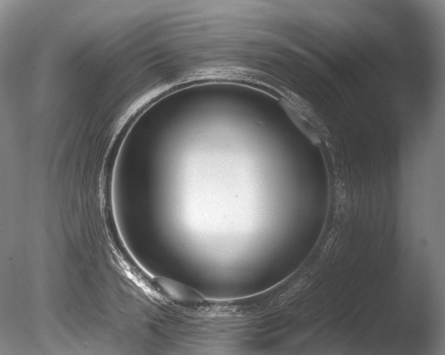 X0000086110846200703231459