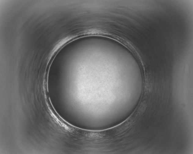 X0000086110847200703231459