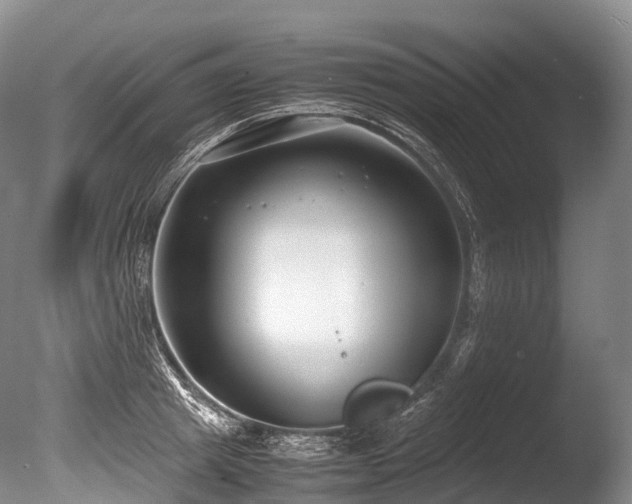X0000086110849200703231459