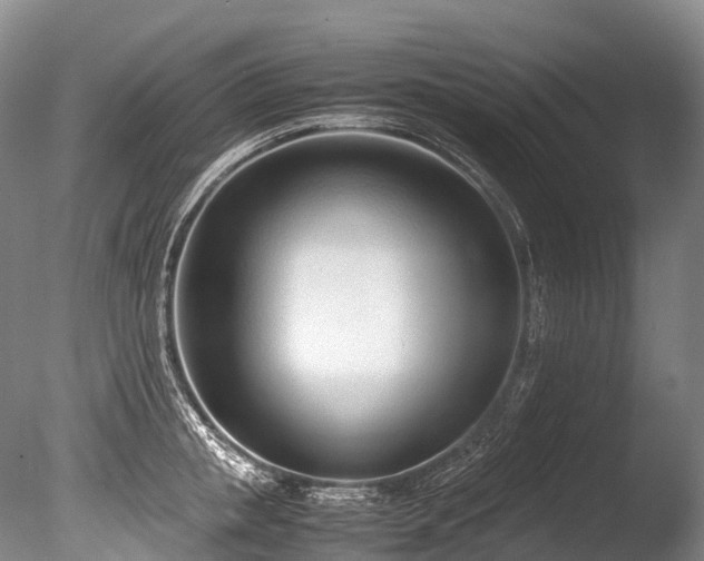 X0000086110853200703231459