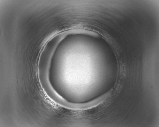 X0000086110854200703231459