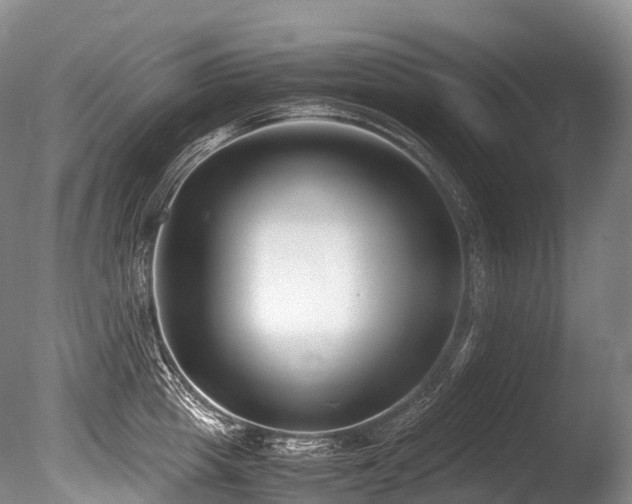 X0000086110857200703231459