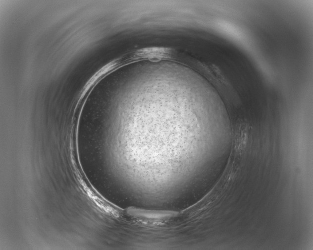 X0000086110861200703231459