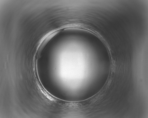 X0000086110862200703231459