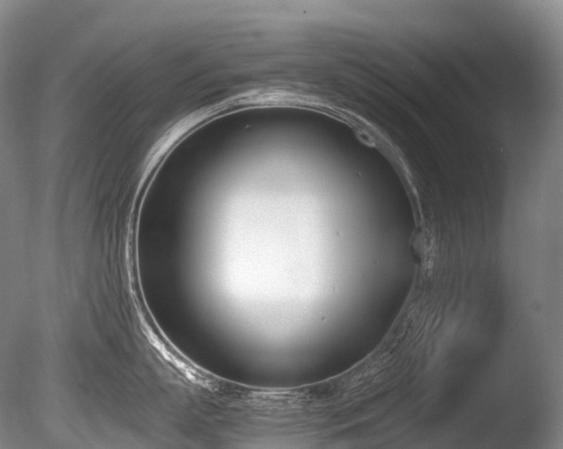 X0000086110863200703231459