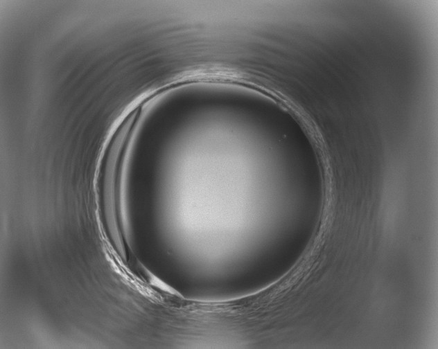 X0000086110864200703231459