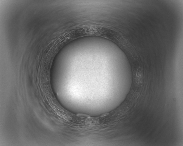 X0000086110865200703231459