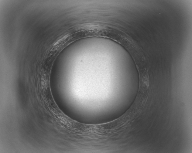 X0000086110869200703231458